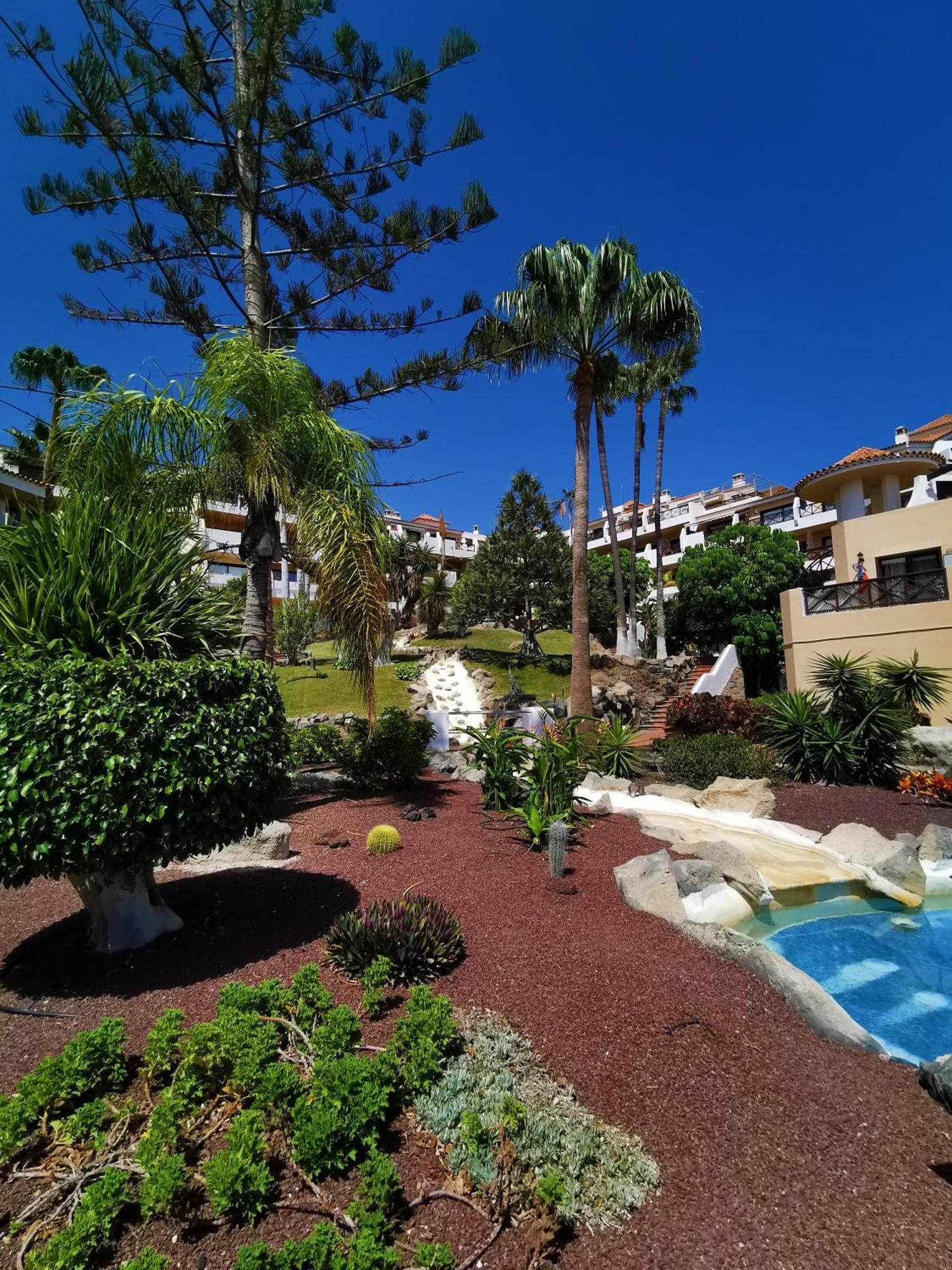 Strelitzia Apartment - Ocean View & Heated Pool Сан Мигел де Абона Екстериор снимка